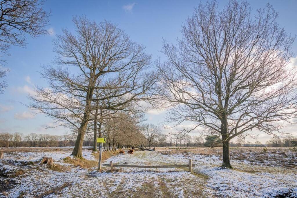 Villa Leva - Logeren In Drenthe Doldersum Exterior foto